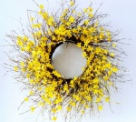 Forsythia Wreath, Winter Jasmine