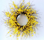 Forsythia Wreath, Winter Jasmine