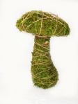 Moss mushroom