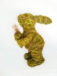 Moss rabbit