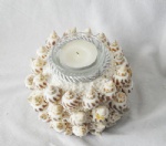 seashell handmade candle holder