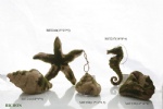 moss/sand coastal animals